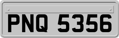 PNQ5356