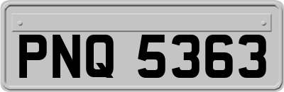 PNQ5363
