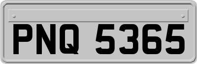 PNQ5365