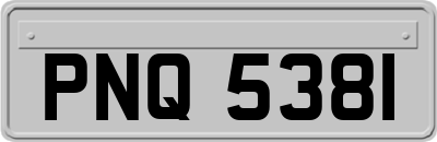 PNQ5381