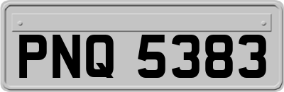 PNQ5383