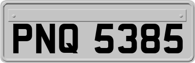 PNQ5385