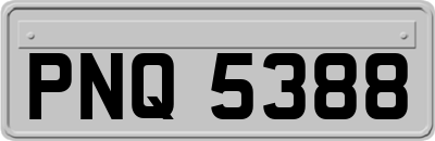 PNQ5388