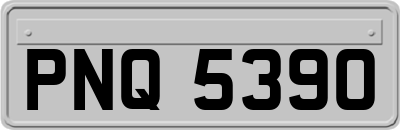 PNQ5390