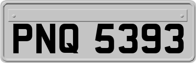 PNQ5393