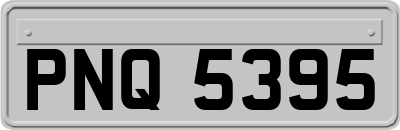 PNQ5395