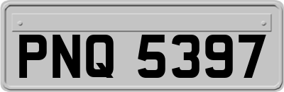 PNQ5397