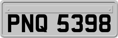 PNQ5398