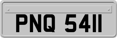 PNQ5411