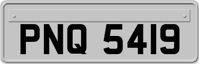 PNQ5419