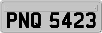 PNQ5423