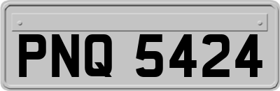 PNQ5424