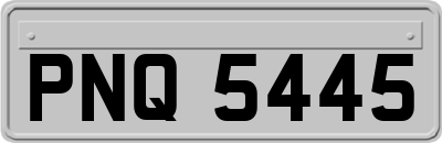 PNQ5445
