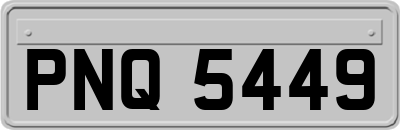 PNQ5449