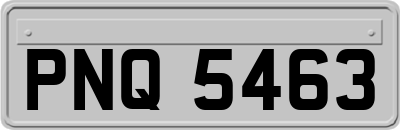 PNQ5463