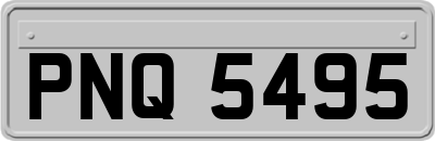 PNQ5495