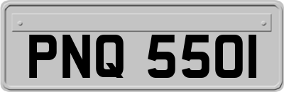 PNQ5501