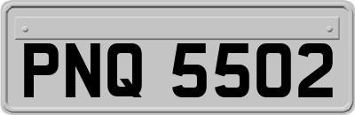 PNQ5502