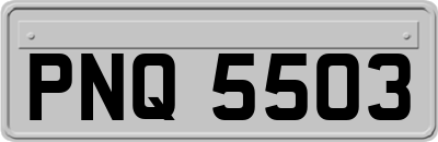PNQ5503