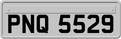 PNQ5529