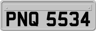 PNQ5534