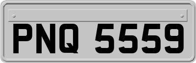 PNQ5559