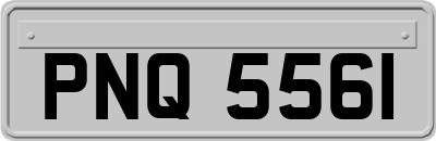 PNQ5561
