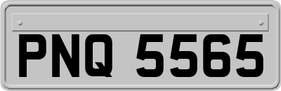 PNQ5565