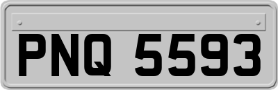 PNQ5593