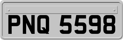 PNQ5598