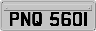 PNQ5601