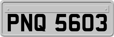 PNQ5603