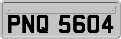 PNQ5604