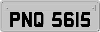 PNQ5615