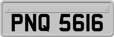 PNQ5616