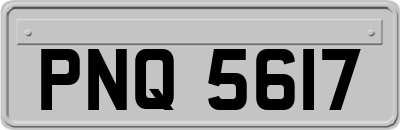 PNQ5617