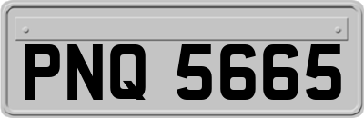PNQ5665