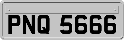 PNQ5666