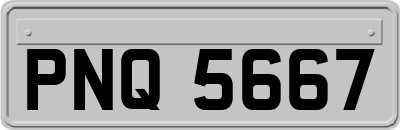 PNQ5667