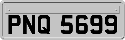 PNQ5699