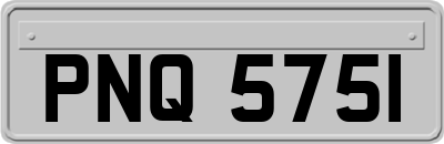 PNQ5751