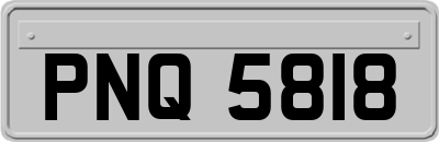 PNQ5818