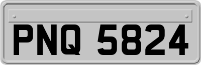 PNQ5824
