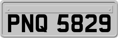 PNQ5829