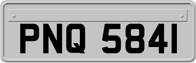 PNQ5841