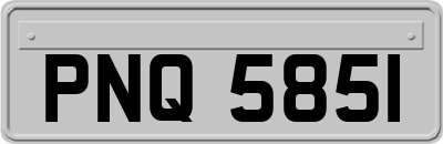 PNQ5851