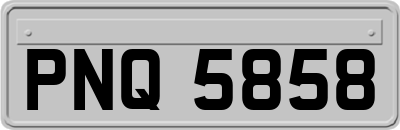 PNQ5858