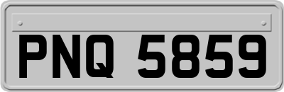 PNQ5859