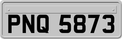 PNQ5873