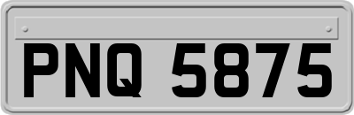 PNQ5875